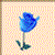 roseee.gif