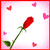 roza4.gif